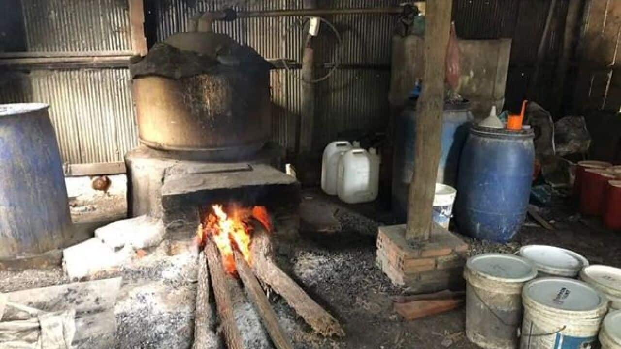 Homemade rice wine production in Cambodia