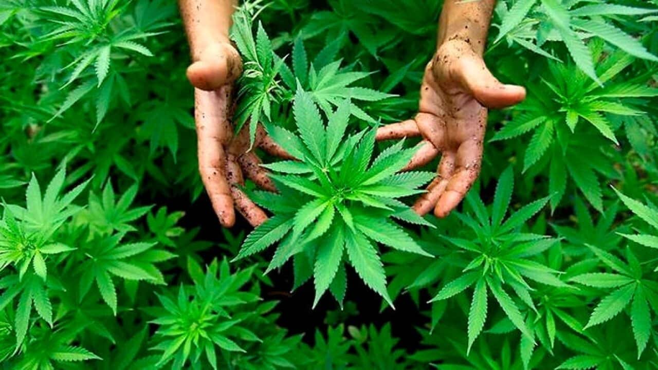 Image for read more article 'OTROS TEMAS'