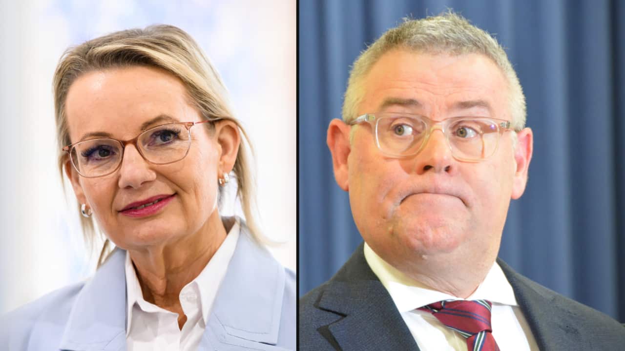 A split image of Sussan Ley in a pale pink suit, and Murray Watt on the right, frowning.