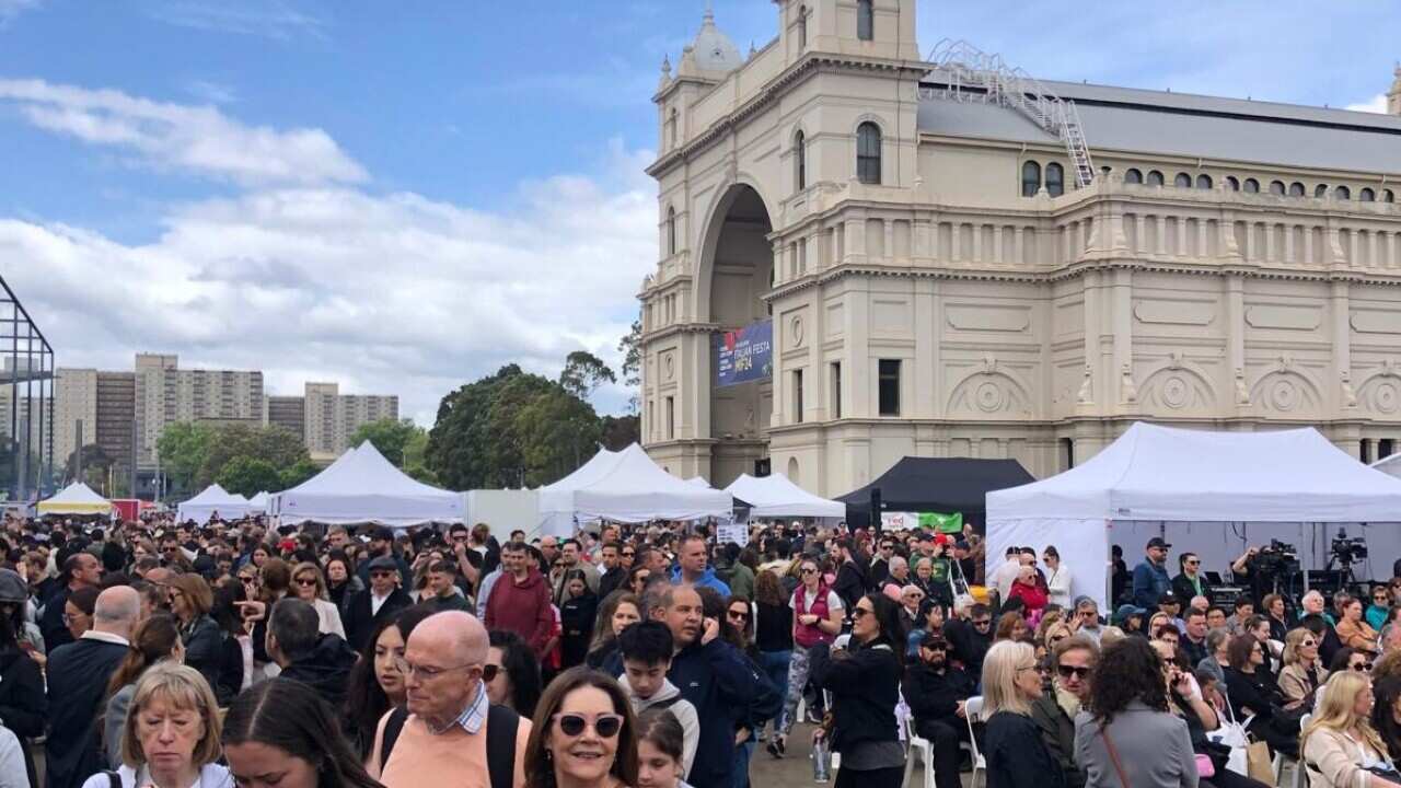 WhatsApp Image 2024-10-09 at 14.42.08.jpeg