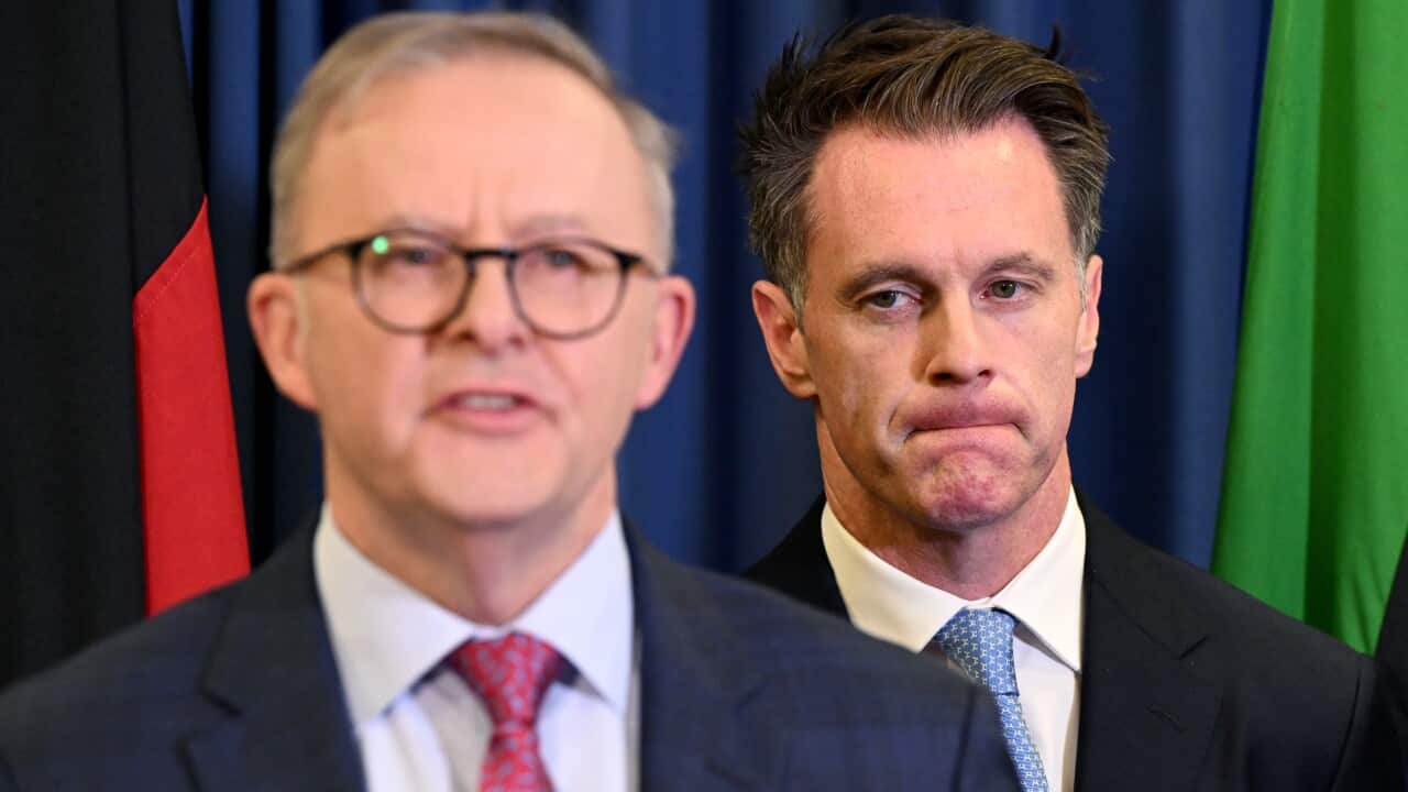 Image for read more article ''