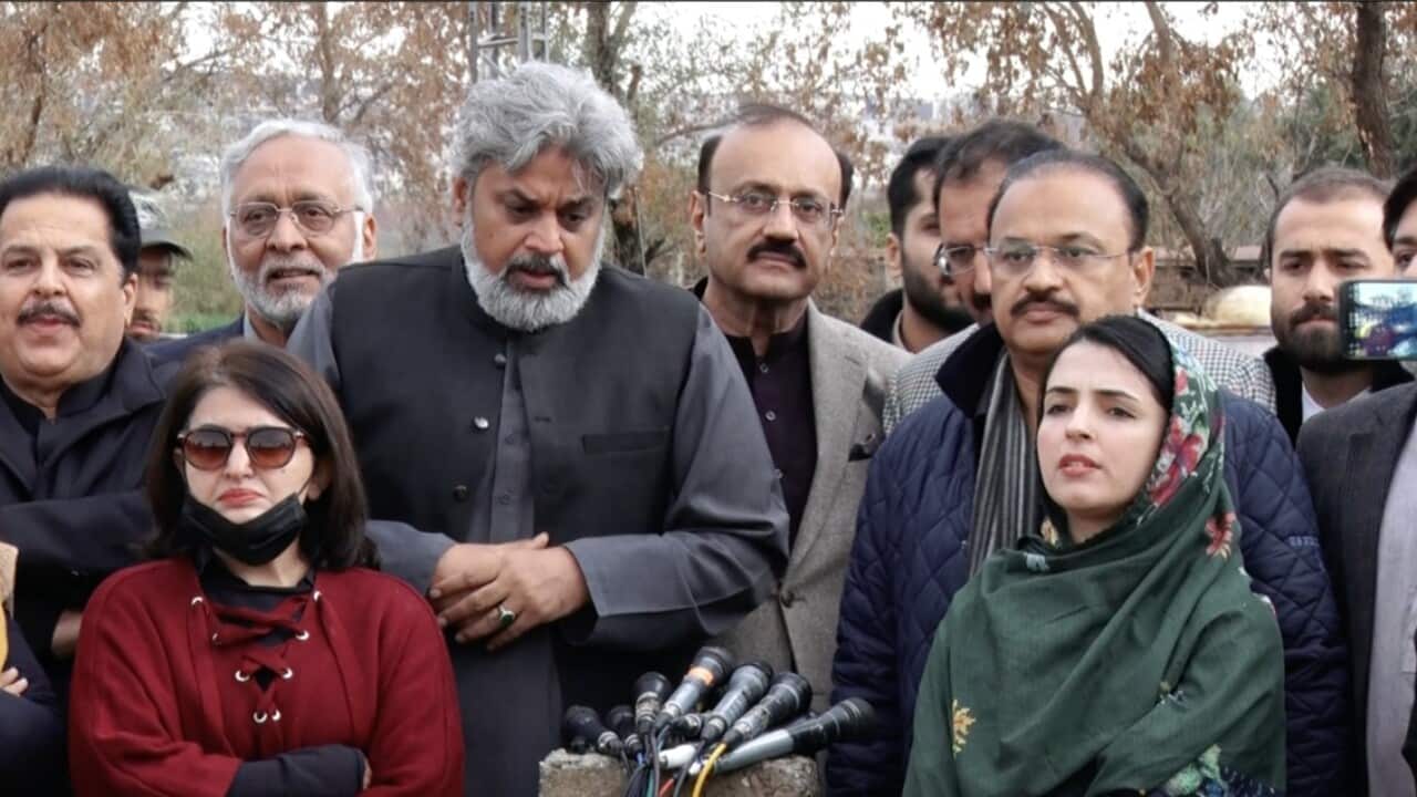 WhatsApp Image 2025-02-26 at 06.13.08.jpeg