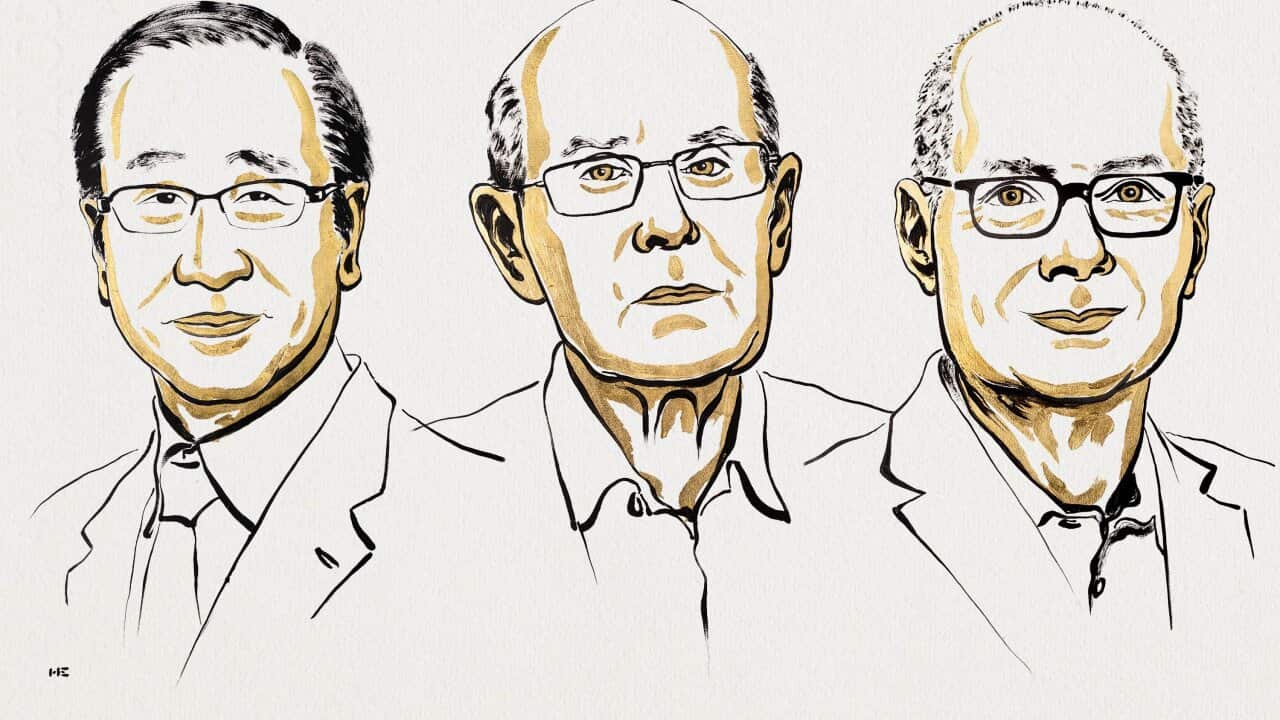 Image for read more article 'READ MORE'