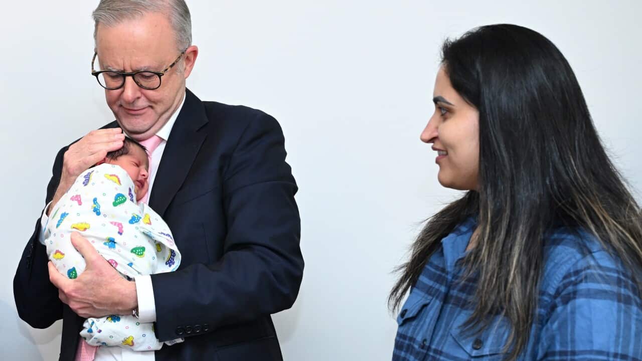 ELECTION25 ANTHONY ALBANESE CAMPAIGN