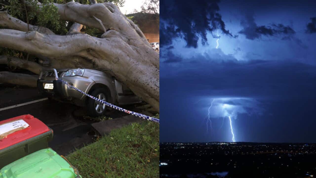 sydney storm