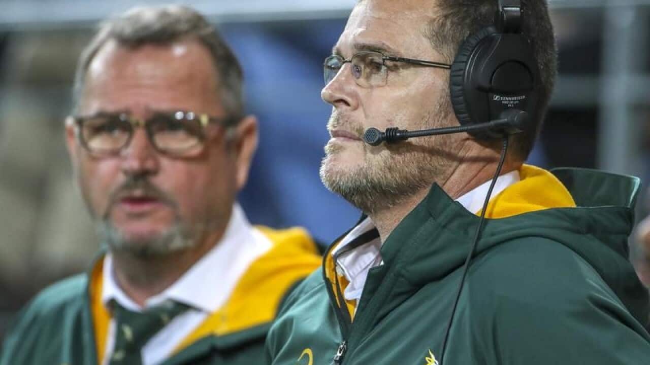South Africa rugby coach Rassie Erasmus