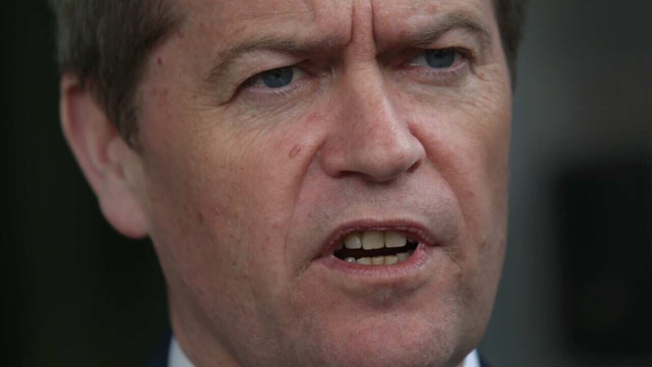 Labor leader Bill Shorten