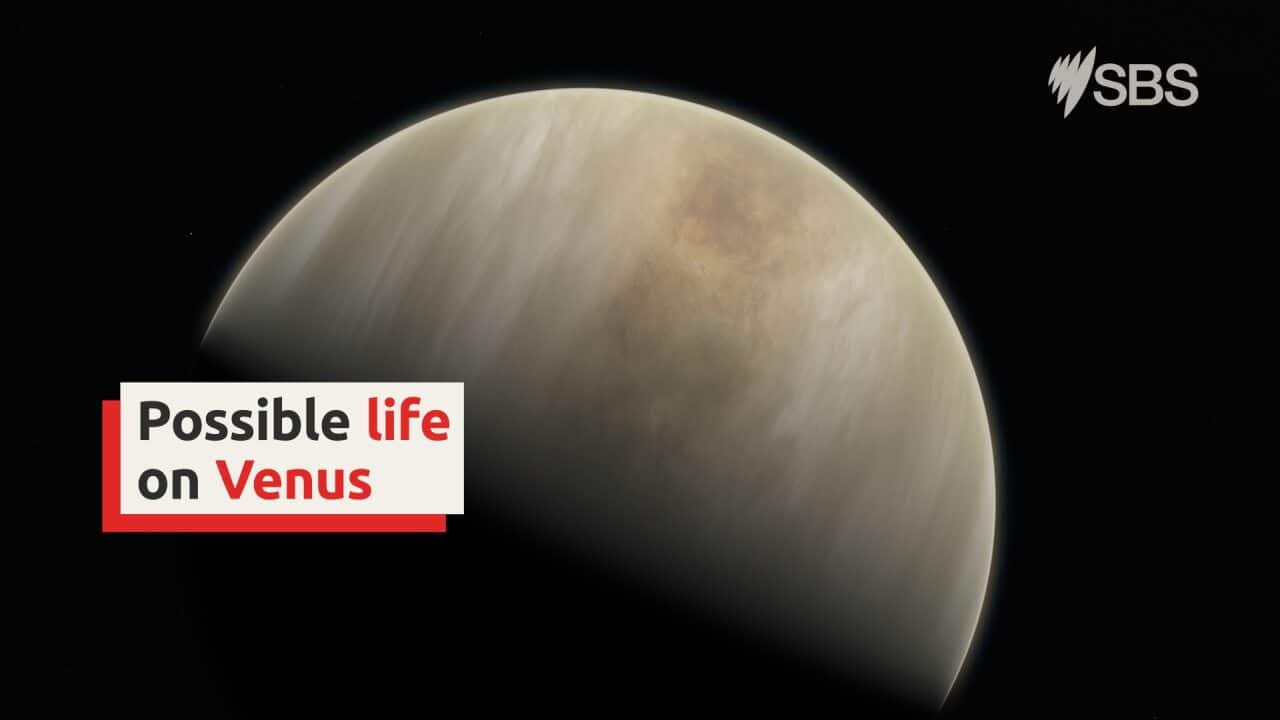 Venus