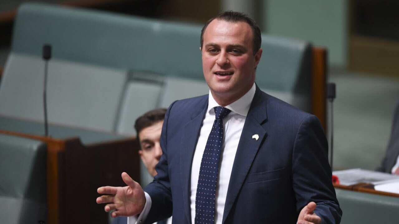 Labor has referred Liberal MP Tim Wilson to the Australian Federal Police