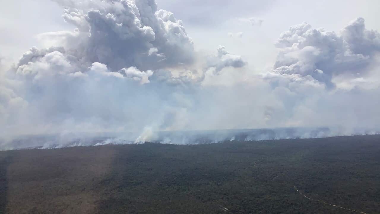 BUSHFIRES NSW