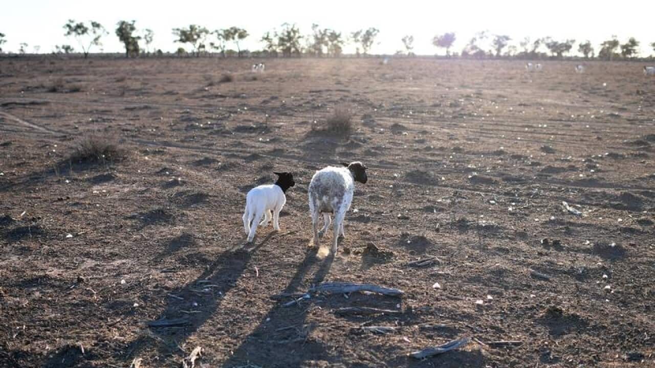 Image for read more article 'READ MORE'