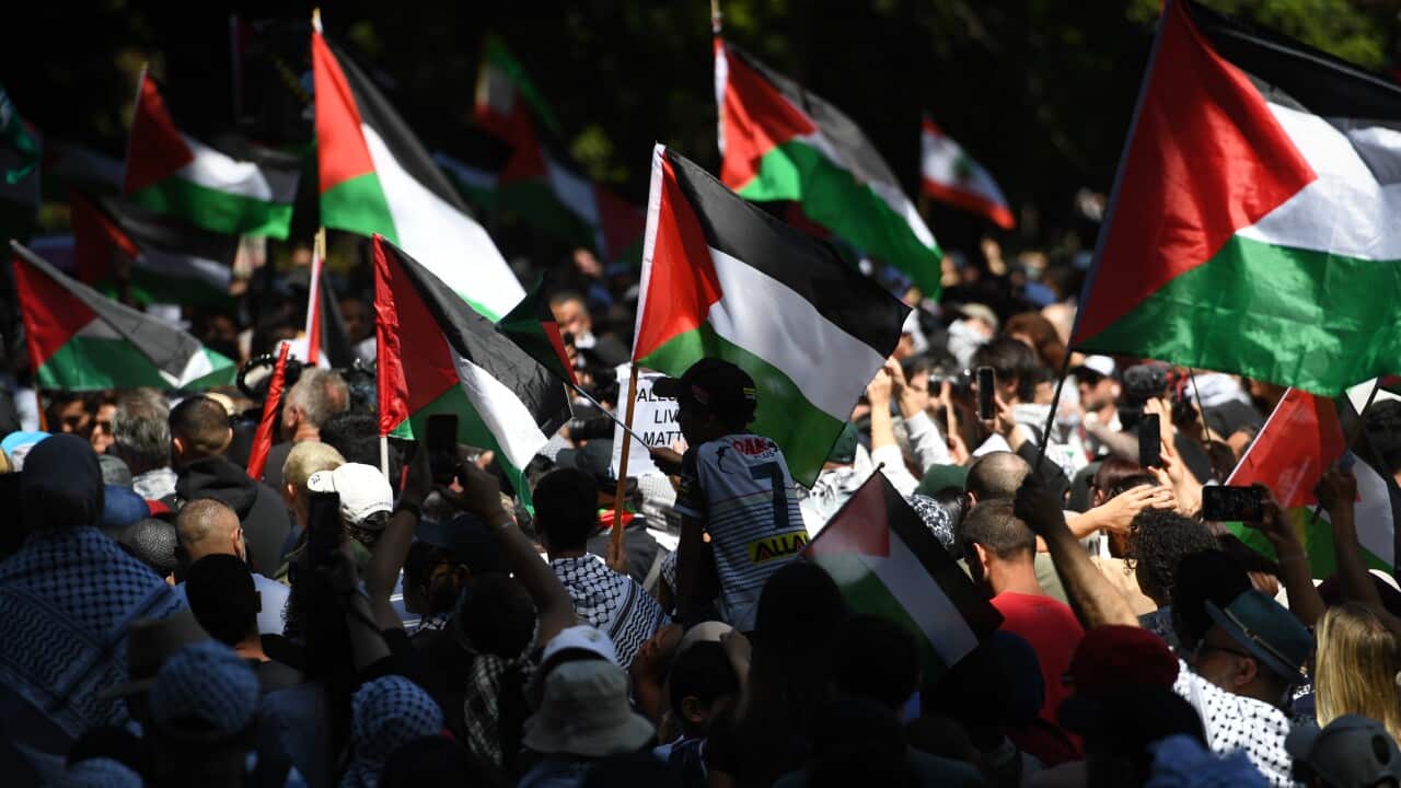 Thousands rally at pro-Palestinian demonstrations across the country Thousands rally at pro-Palestinian demonstrations across the country