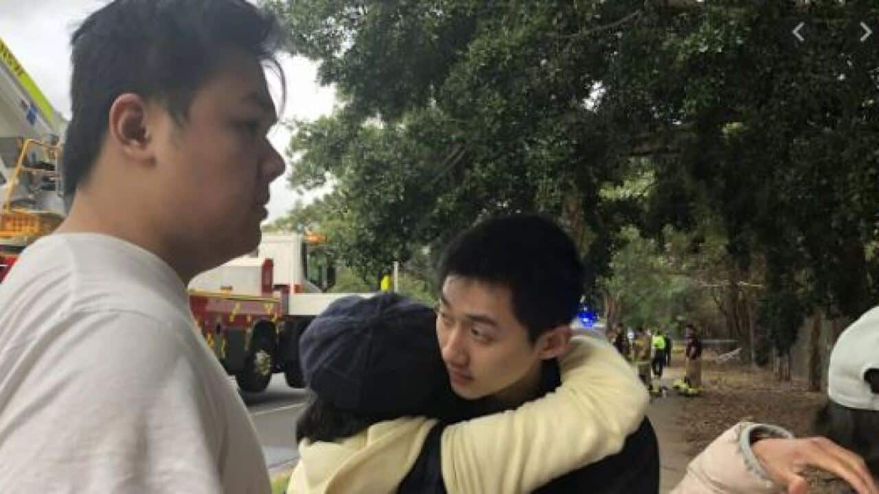 Image for read more article ''