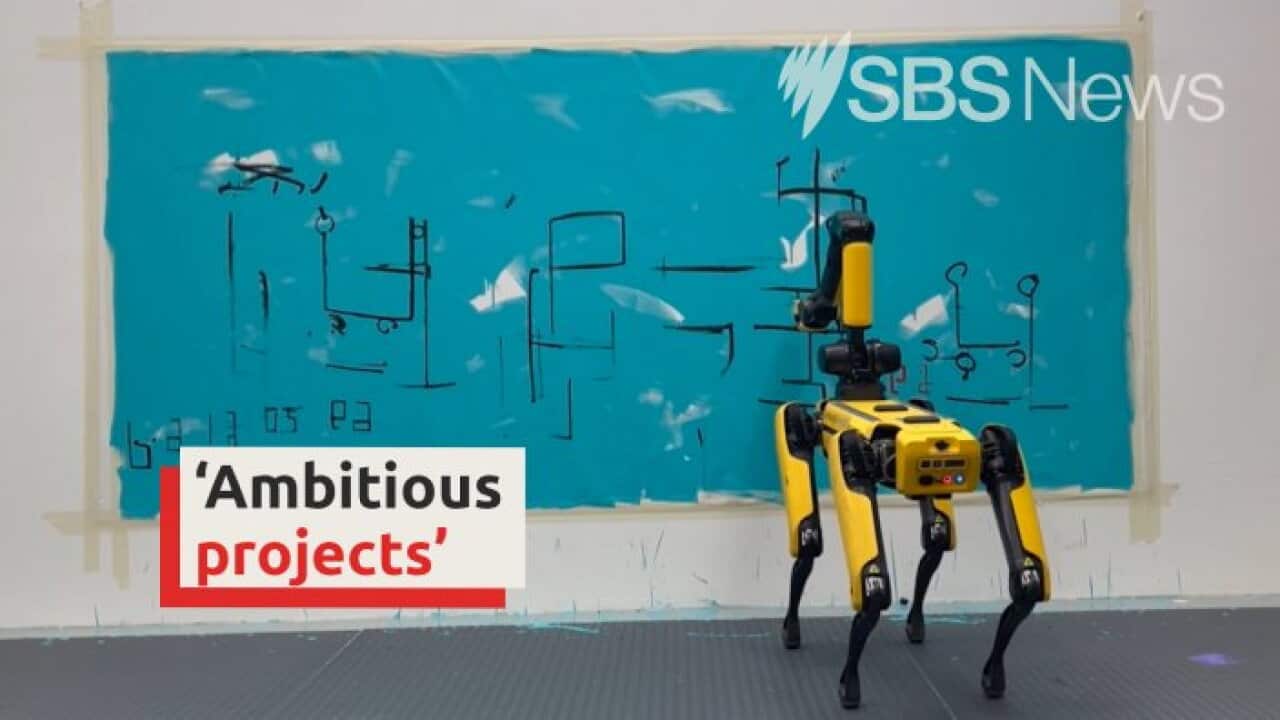 Robot dogs star in new exhibition I SBS News | SBS News