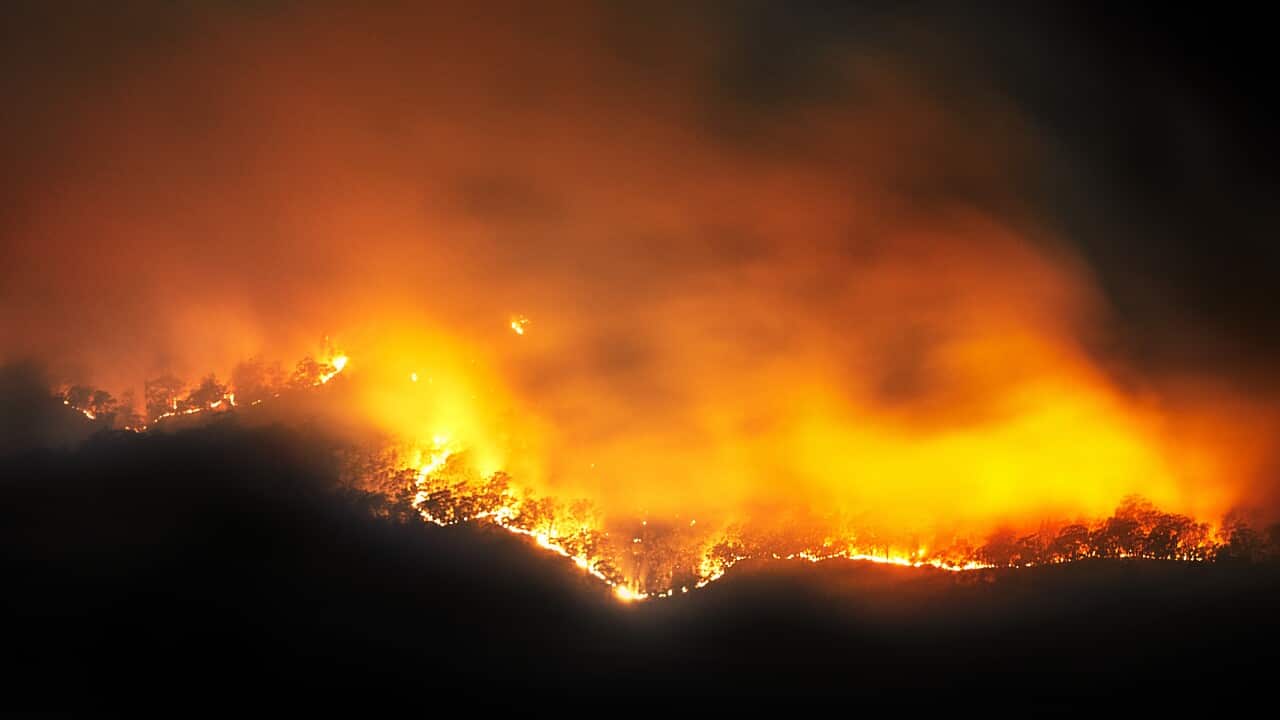 Fire, Forest Fire, Bushfire in mountain valley, Blue Mountains, Australia