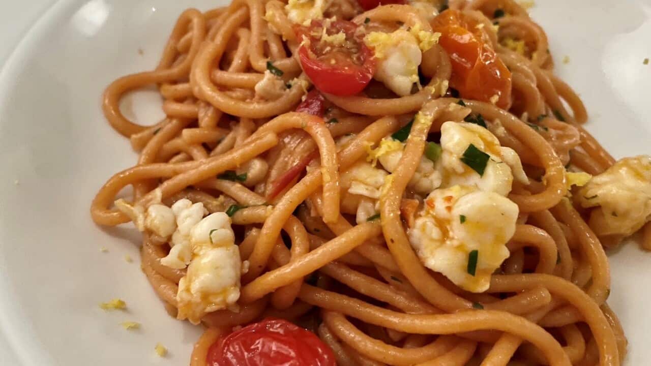 Tomaru128 Bucatini with cherry tomatoes and peeled shrimps.jpg