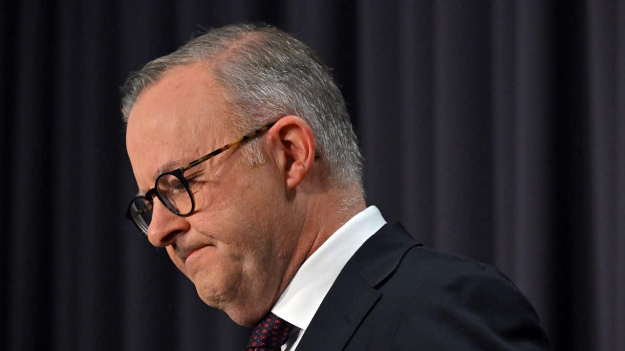 PM Anthony Albanese .jpg