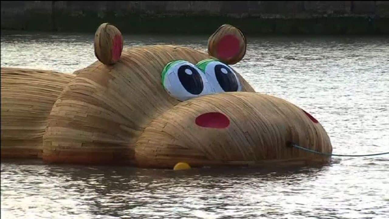 Hippo art on the Thames