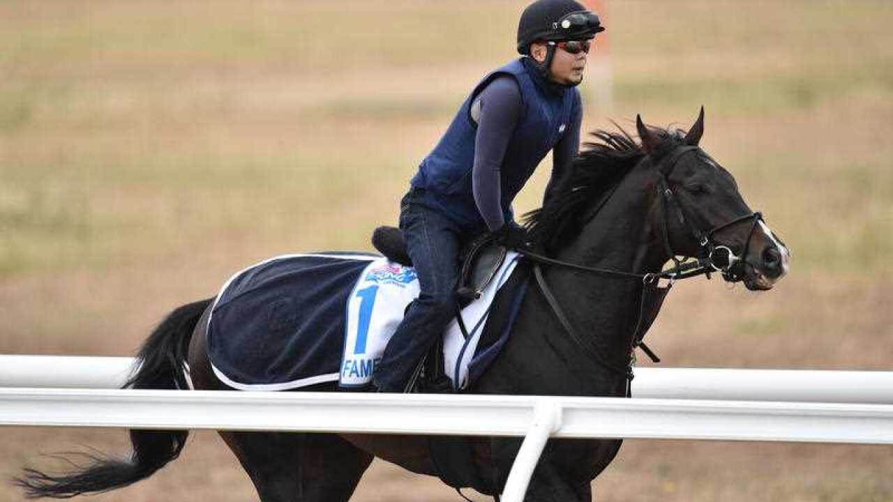 Image for read more article 'Related reading'