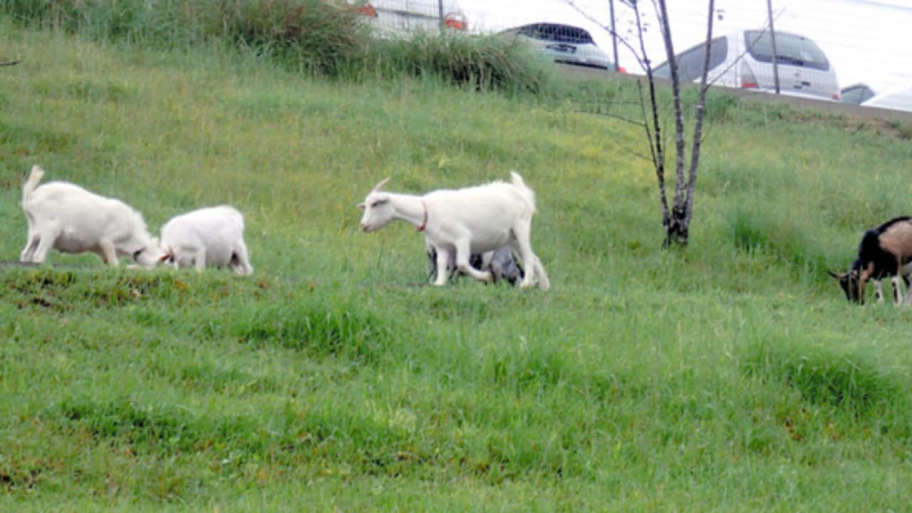 Image for read more article 'READ MORE'