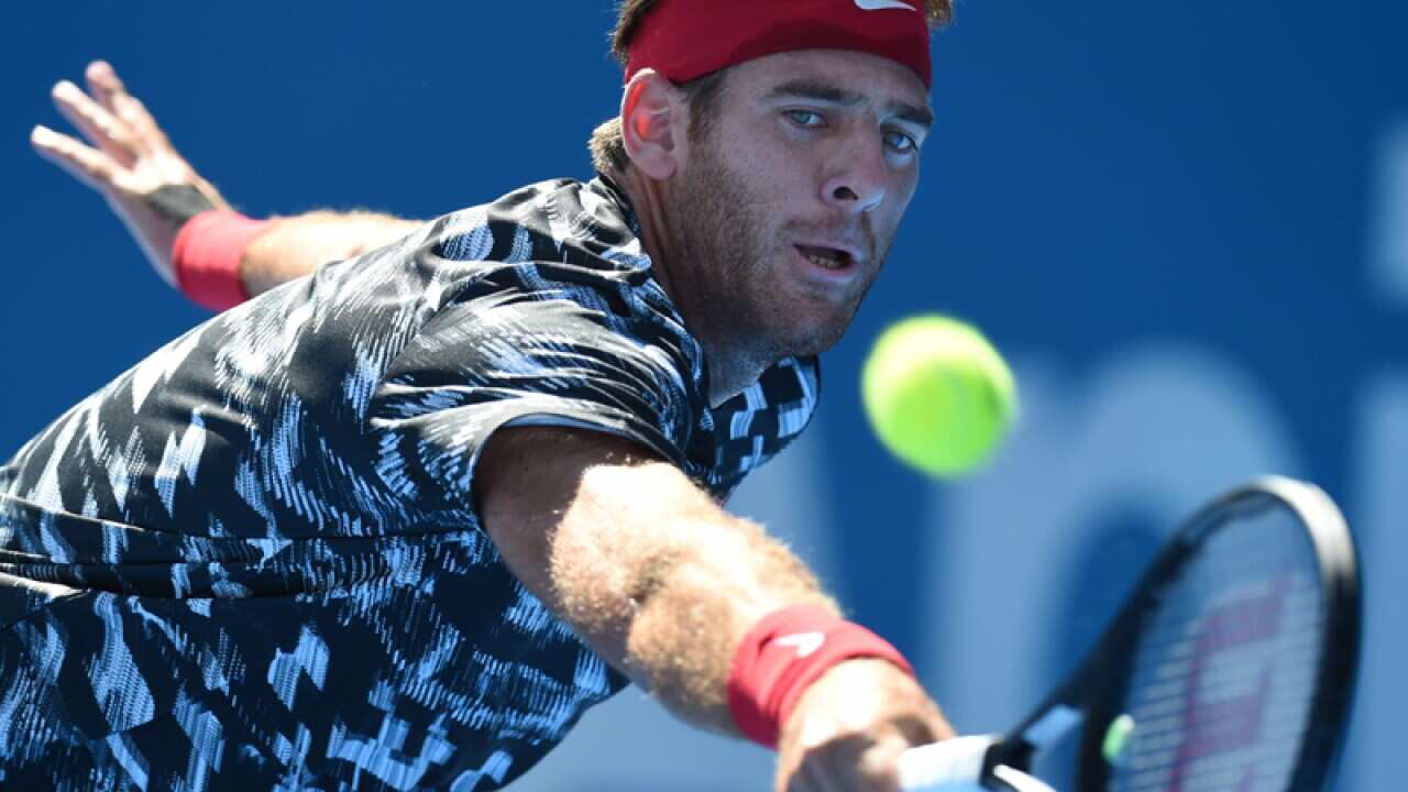 Juan Martin del Potro of Argentina