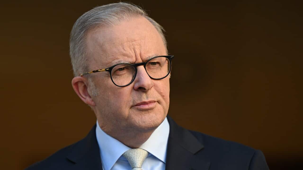Anthony Albanese wearing glasses and a black suit