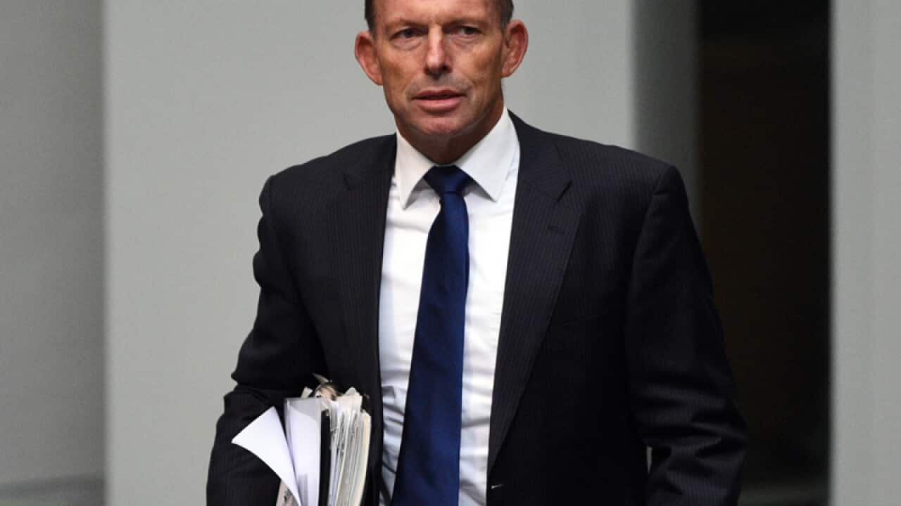 Former prime minister Tony Abbott