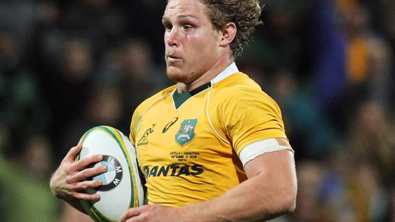 Michael Hooper of the Wallabies