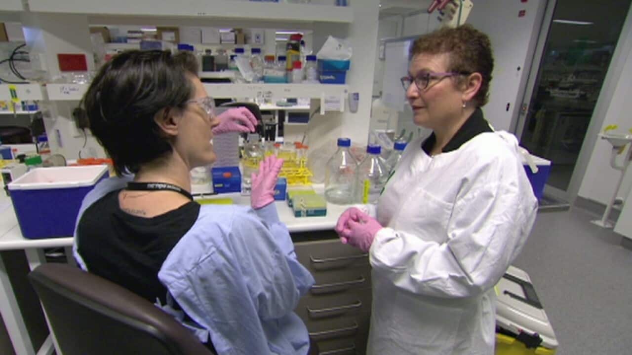 Professor Maria Kavallaris (right)