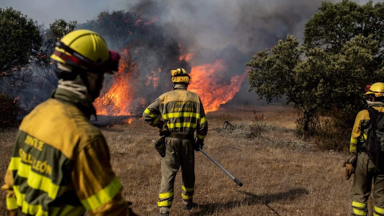 Firefighters try to extinguish flames during a wildfire in north western Spain (