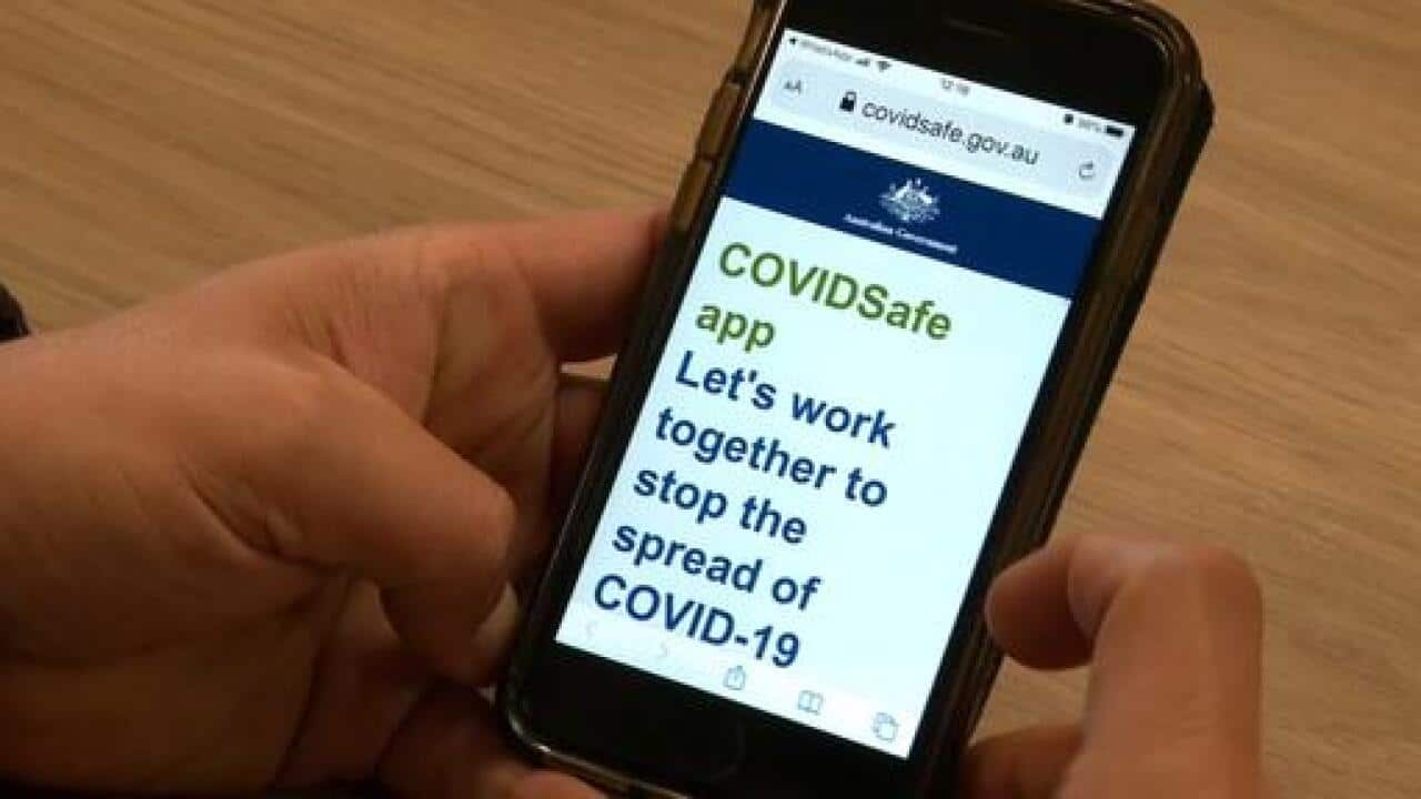 A close up of the government's coronavirus tracing app.