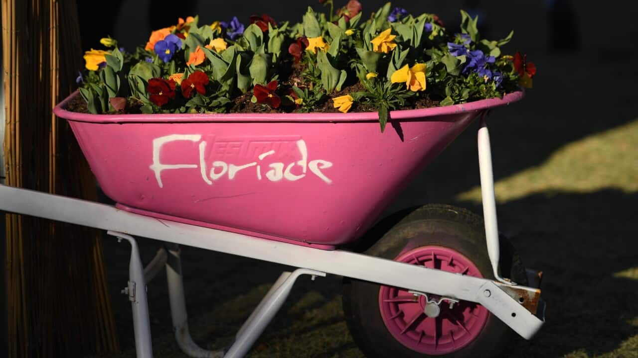 COVID-19 Canberra, Floriade, term Break, Filipinos in Canberra