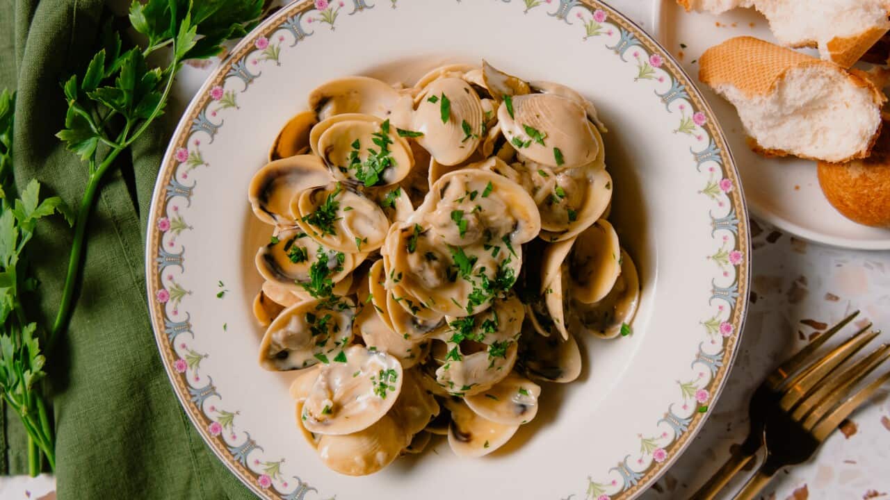 White wine clams-image