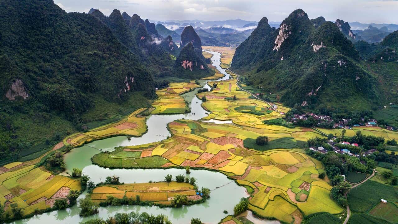Vietnam