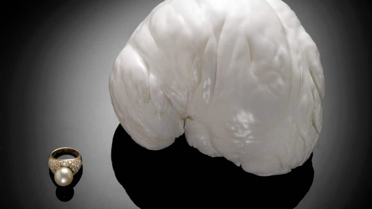 Image for read more article 'Más información:'