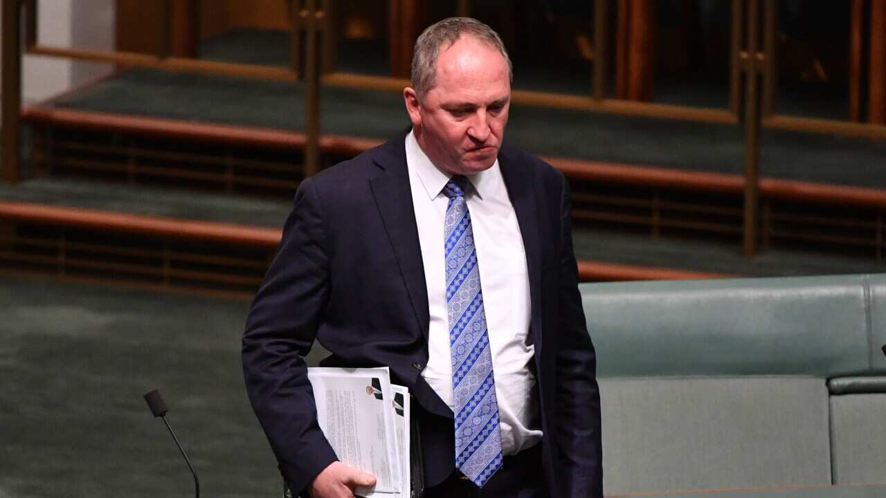 Former deputy prime minister Barnaby Joyce