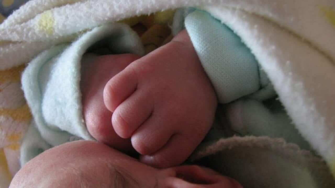 A baby is pictured in Brisbane