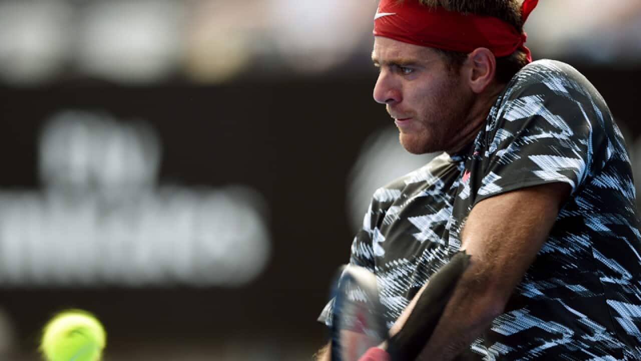 Argentine tennis player Juan Martin del Potro