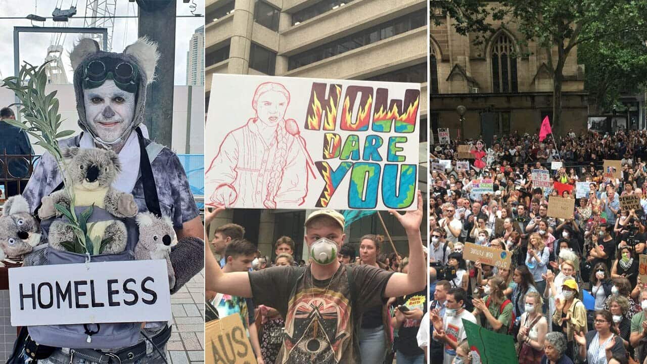 Image for read more article ''