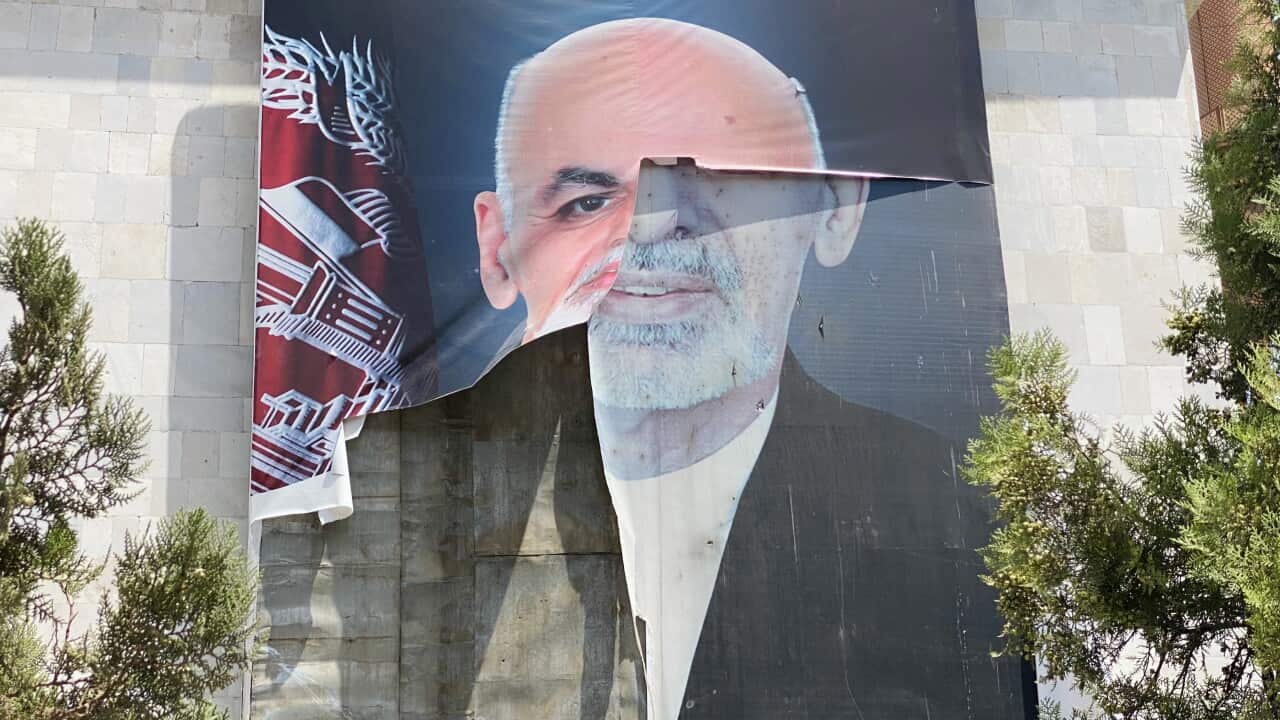 Image for read more article ''