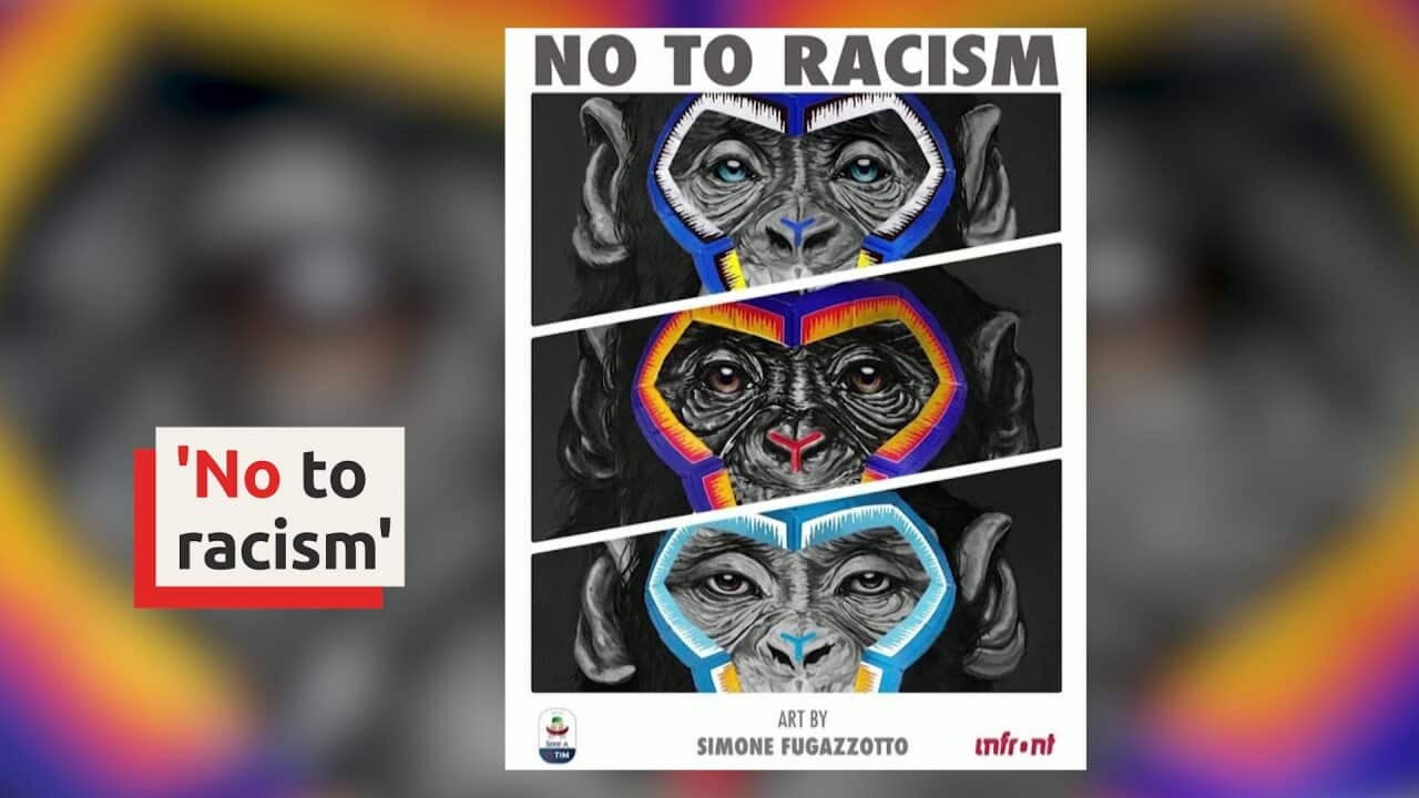 Anti-racism artwork featuring three monkeys