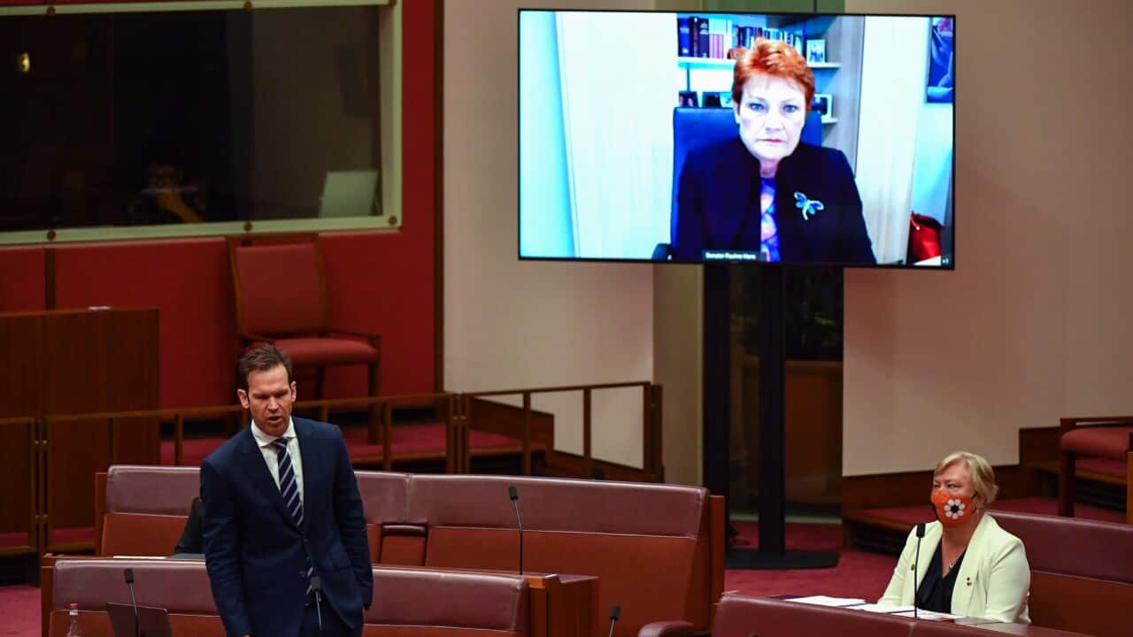 Nationals Senators Matt Canavan and Sam McMahon