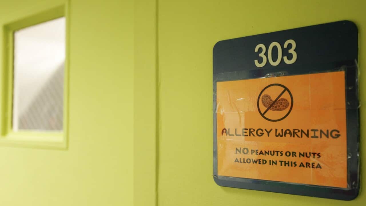 Peanuts and Nuts Banned at School