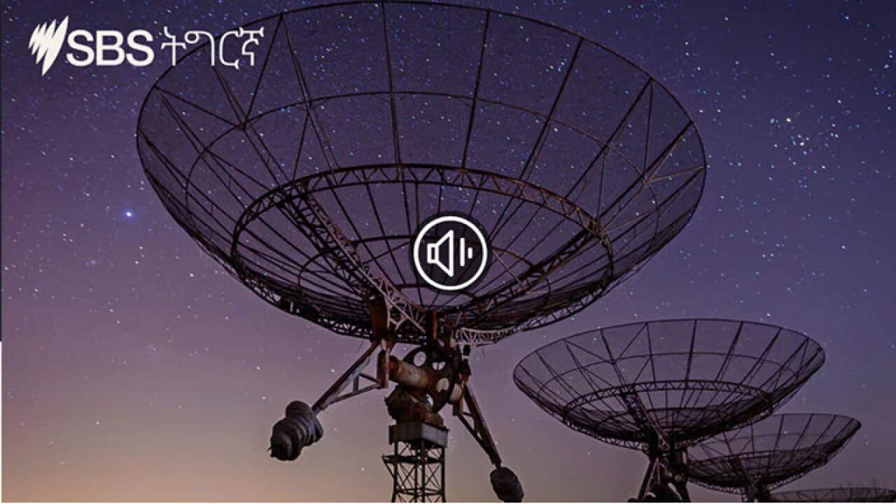 Homelad Report (18/11/2021)