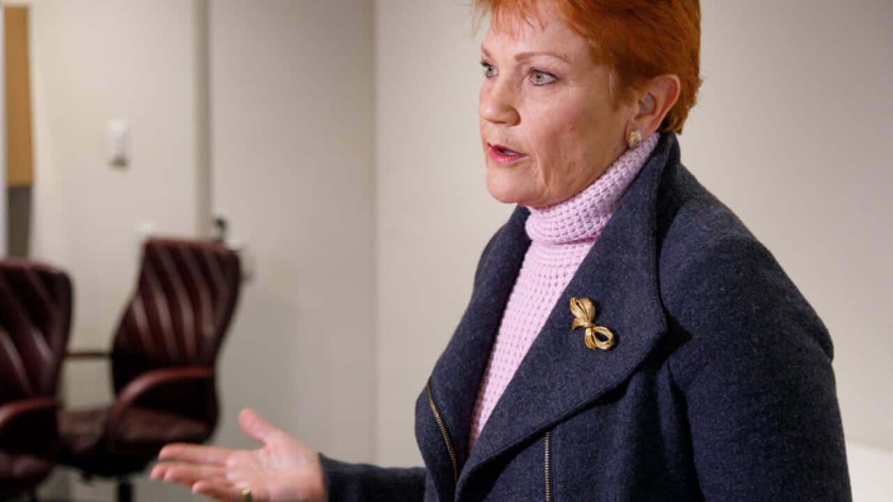 Senator Pauline Hanson at a press conference