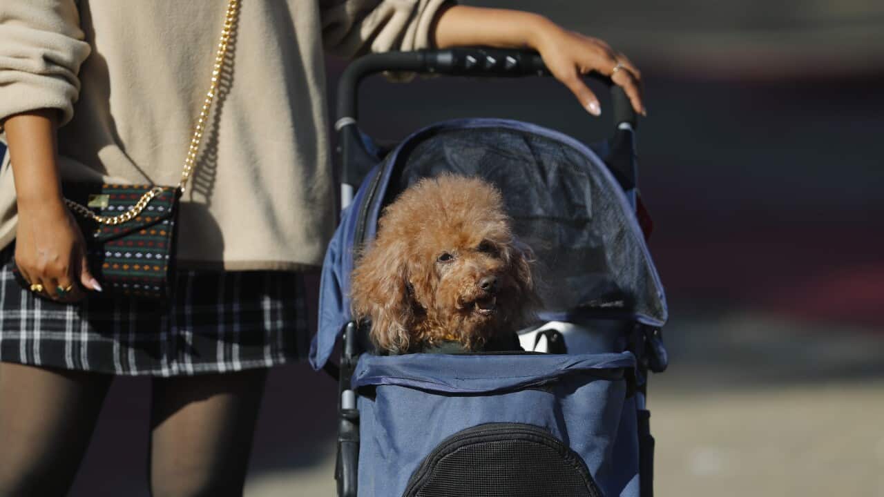 Image for read more article 'READ MORE'