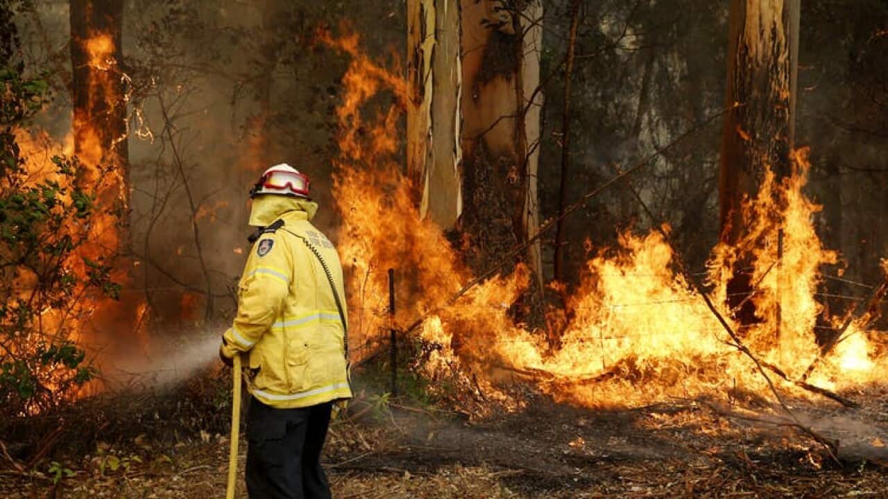 Image for read more article 'READ MORE'