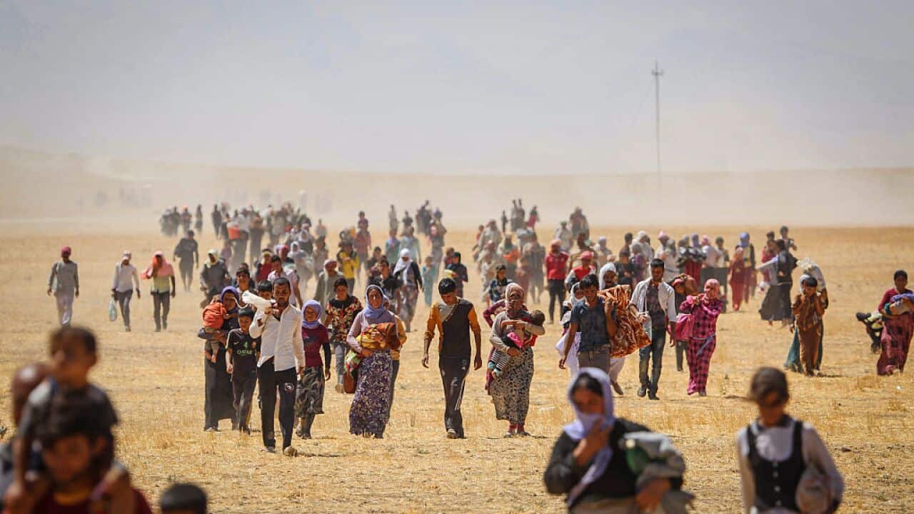 Anadolu Agency's Best Pictures of 2014