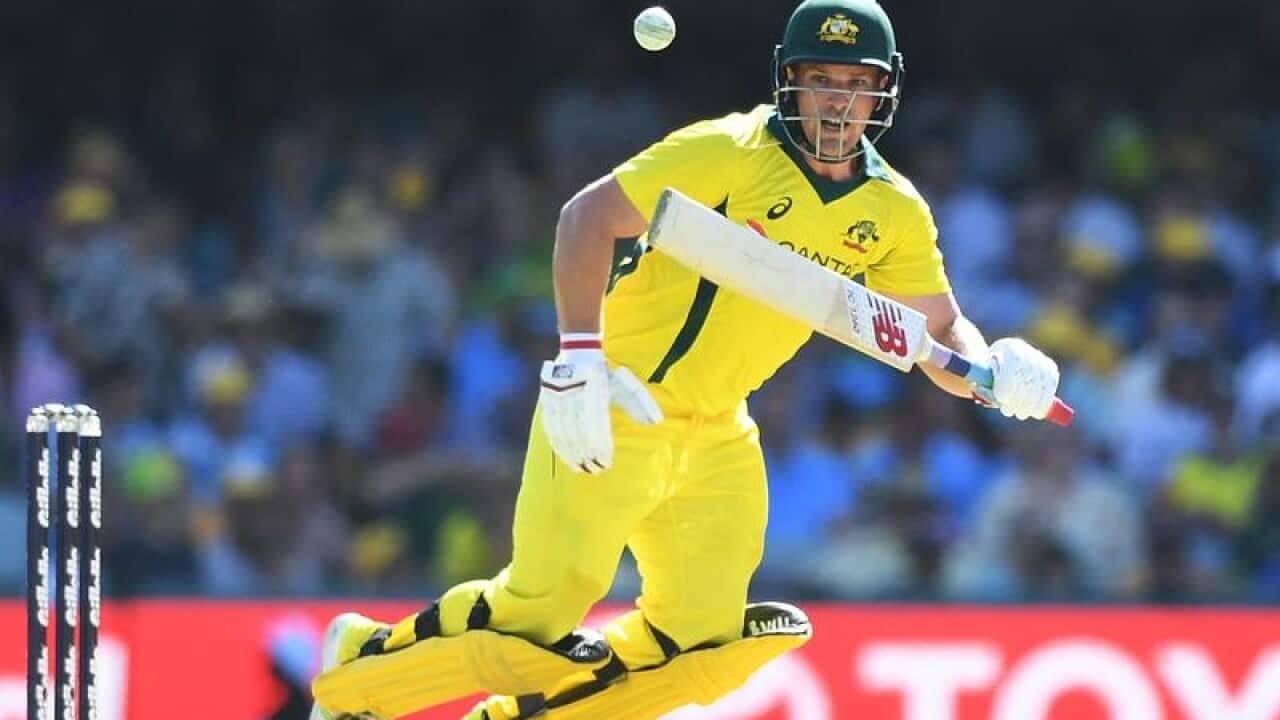 Australian batsman Aaron Finch looks on after playing a shot