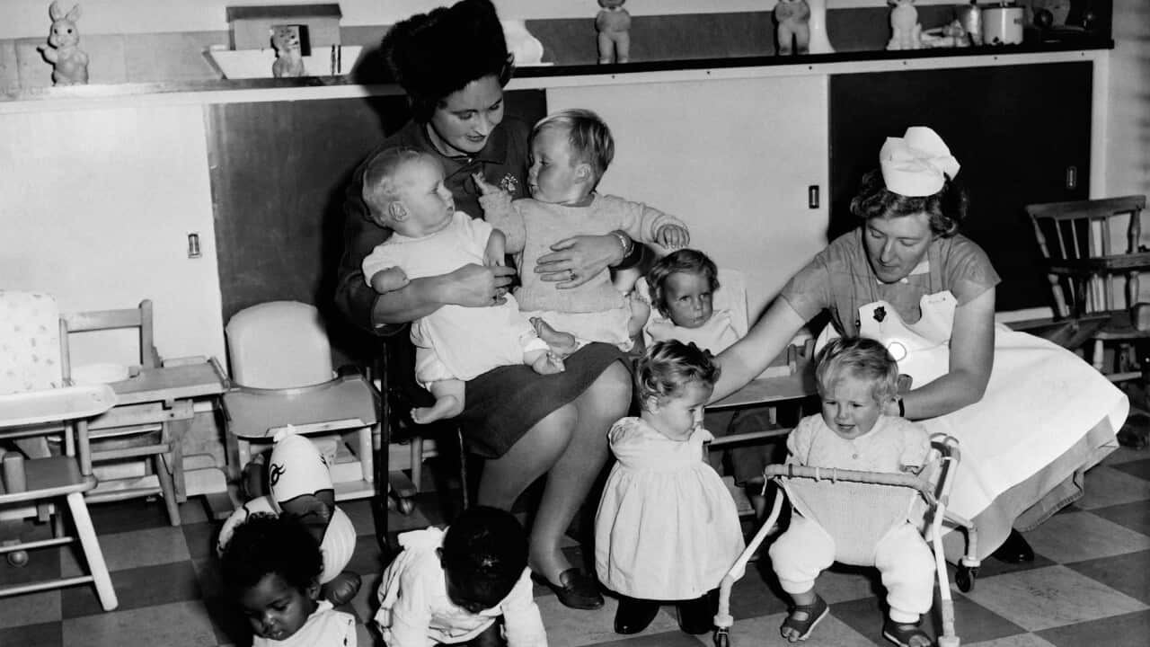 Thalidomide was 'one of the darkest chapters in Australia's medical  history': Albanese | SBS News